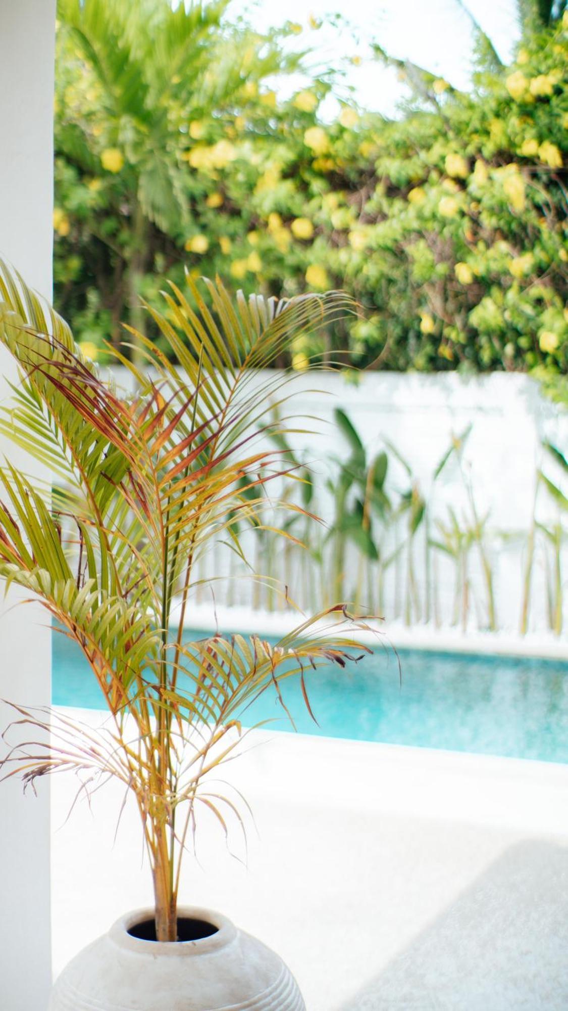 Apartament The White Bay Lombok Kuta  Zewnętrze zdjęcie